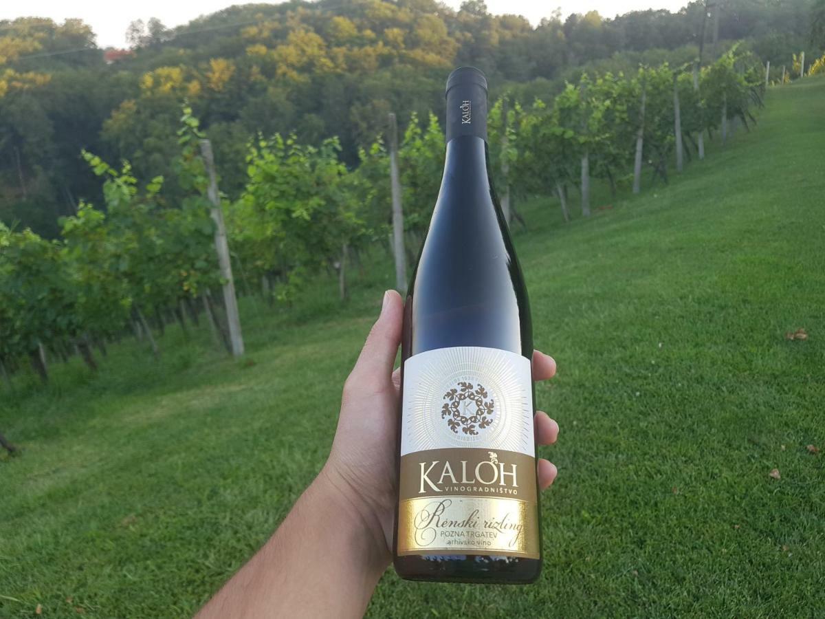 マリボル Wine House Kalohヴィラ エクステリア 写真