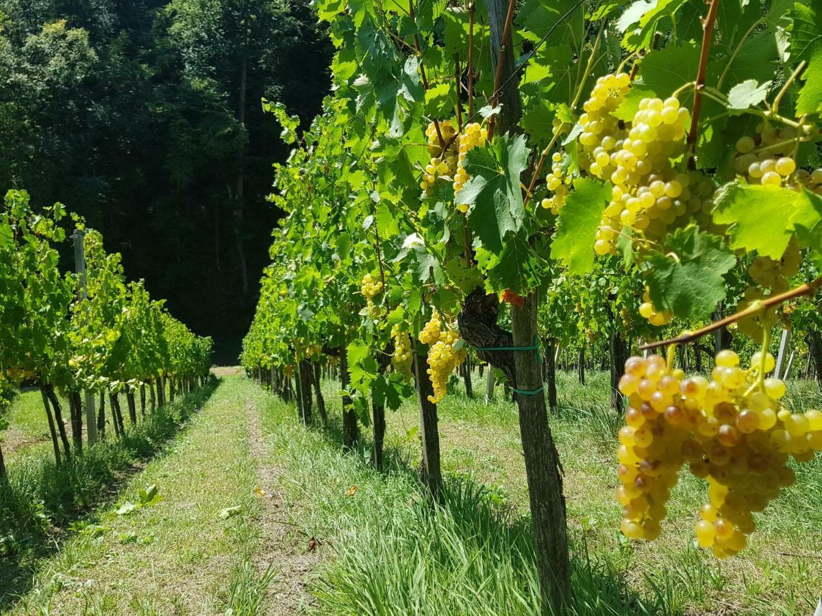 マリボル Wine House Kalohヴィラ エクステリア 写真